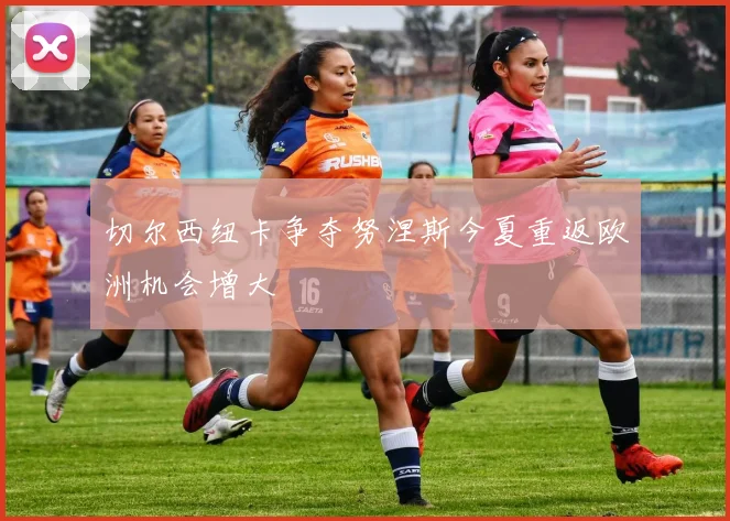 切尔西纽卡争夺努涅斯今夏重返欧洲机会增大