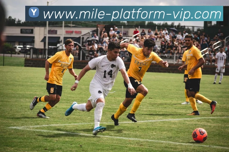 米乐平台APP 高清赛事图